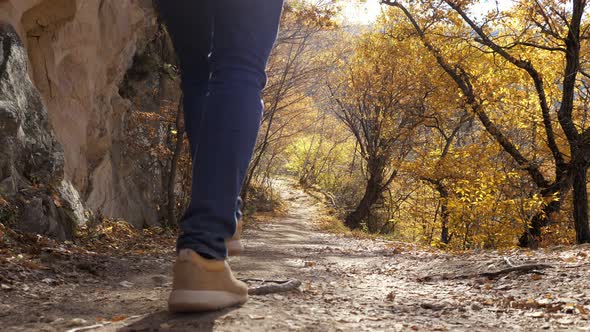 Man with Backpack Walks Along Path Across Autumn Forest