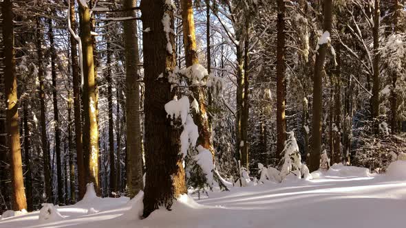 Winter Time in Mountains