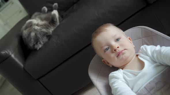 Baby and Cat Living Together Happily One Year Old Kid with Gray Cat at Home Baby Boy Sitting in Baby