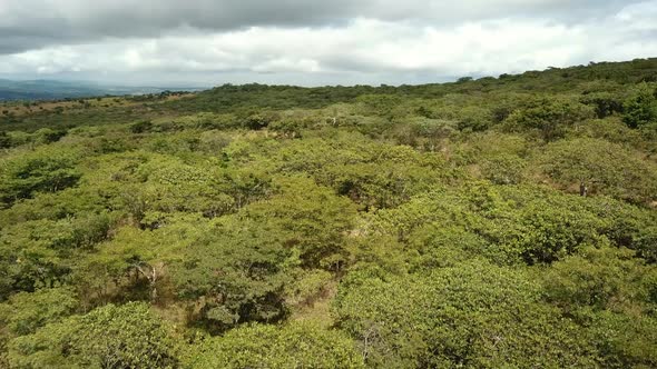 Aerial View of the Green Plains in Mountains, Tanzania, Africa. The the Green Hills Mountains in Eas