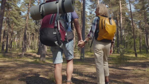 Back View of Senior Man and Woman Tourists Walking Hand in Hand in Summer Forest