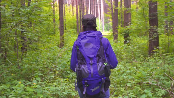 Girl with Backpack Walk in the Woods Slow Mo