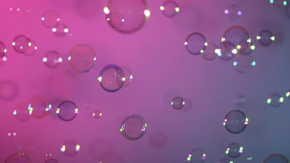 Blue and Clear Soap Bubbles on Pink and Violet, Background