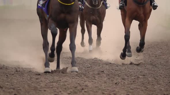 The Feet of the Horses at the Racetrack