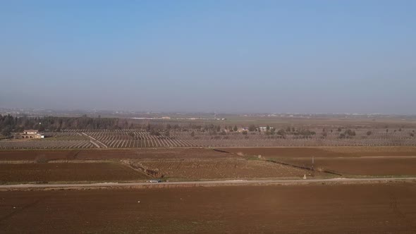 Coming Into Shot Of Vegetable Plantation Green Fields In Western Beqaa Valley, Lebanon