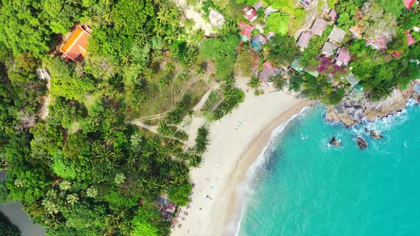 Aerial top view panorama of exotic shore beach wildlife by turquoise water and white sandy backgroun