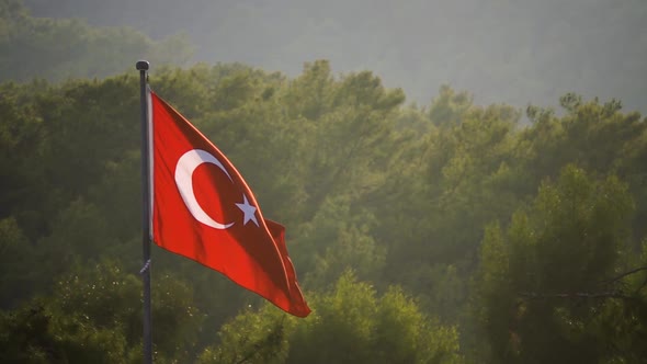 Turkish Flag Featuring a White Star Blowing in the Wind Over Trees. Slow Motion