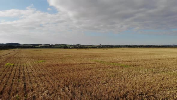 Aerial view of golden fields with brown mold close to Sejerøbugten in Odsherred.