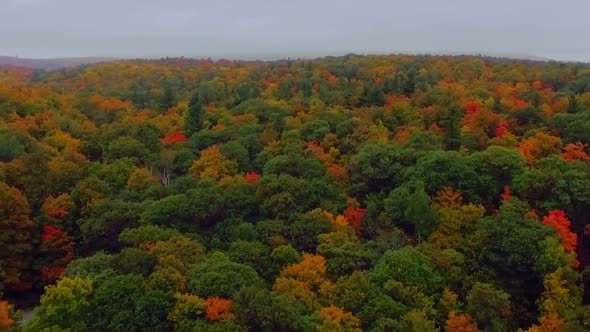 Beautiful aerial shot of the red and orange trees at Gatineau Park during Autumn.