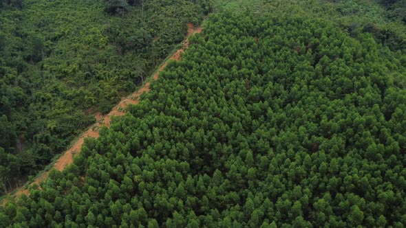 Deforestation on tropical mountainside, agricultural expansion; aerial