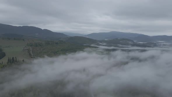 Ukraine, Carpathians: Fog in the Mountains. Aerial. Gray, Flat