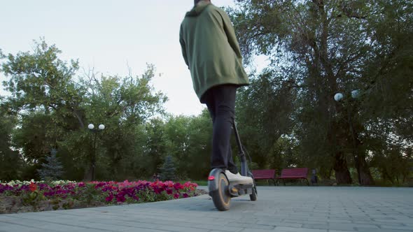 Woman and Man Ride Electric Scooter Along Alley of Public Park Down Back View