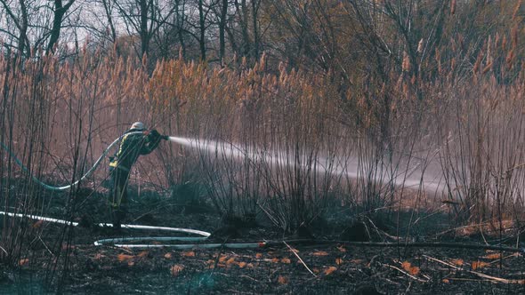 Two Firefighters in Equipment Extinguish Forest Fire with Fire Hose. Slow Motion