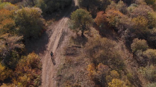 Aerial View of Cyclist in the Mountain Landscape with Autumn Forest