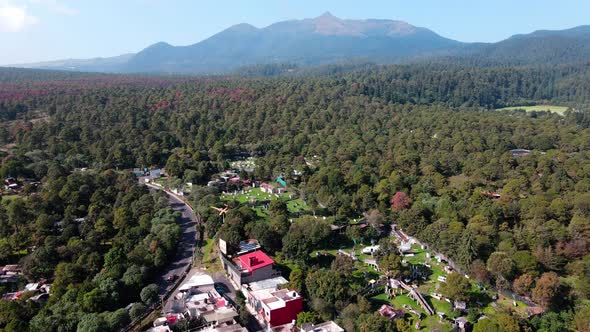 Interesting Flight over mexico city forest