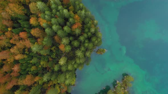 Flying Over Autumn Forest