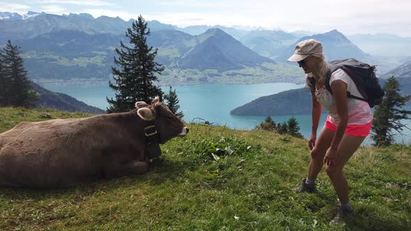 Backpacker Woman with Cow Switzerland