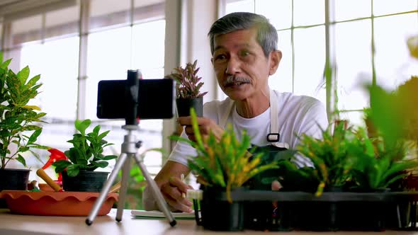 Senior gardener man selling beautiful plants on social media by streaming live from his shop.