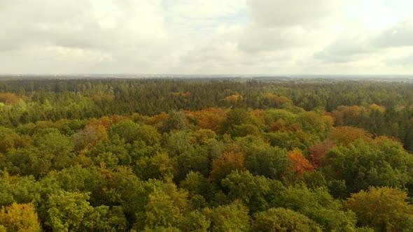 Autumn forest aerial shot flying up at a cloudy day with sunshine with the view at Munich at the wid