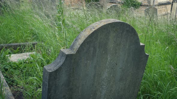Passing Grave In Old Overgrown Cemetery alt