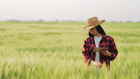 Smart Technologies in Agriculture