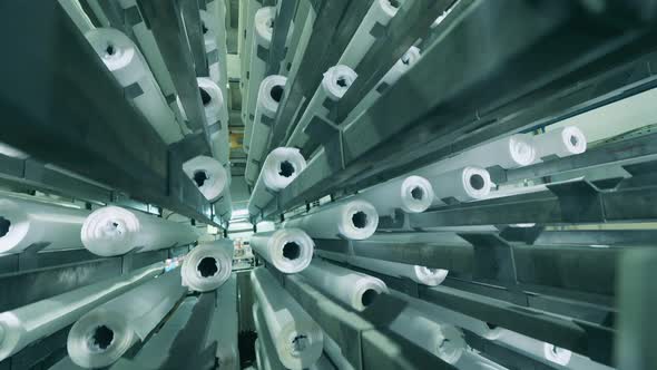 Many White Paper Rolls Moving Vertically During the Production Process