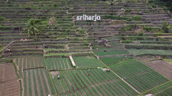 Wonderful Aerial view of rural in Sriharjo Imogiri Bantul Yogyakarta Indonesia