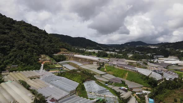 Cameron Highlands, Pahang Malaysia