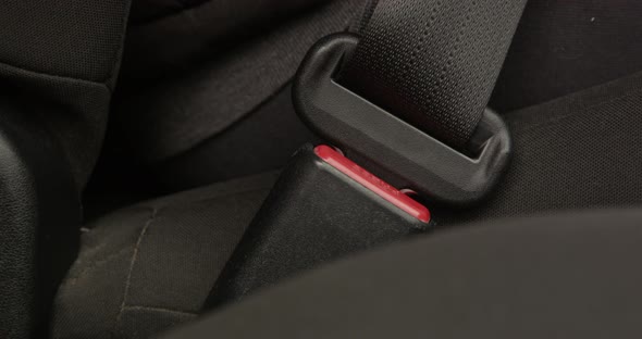 Fastening Seat Belt Buckle Up