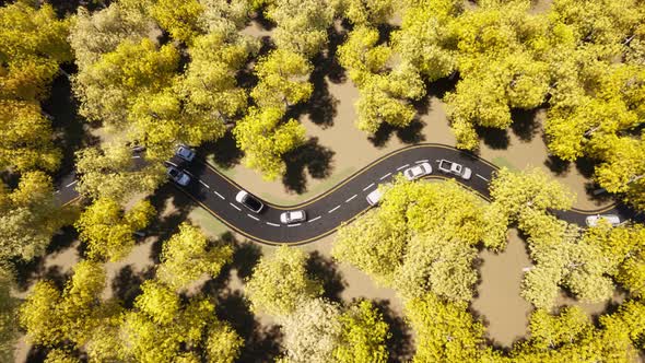 Car Traffic Yellow Autumn Forest Nature Road Landscape. Beautiful Fall Nature Top View alt