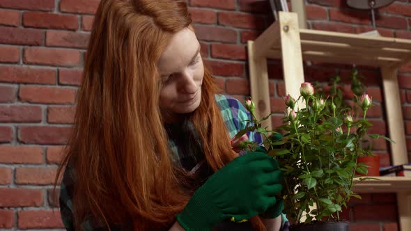 Beautiful Redhead Girl Looking After Flowers