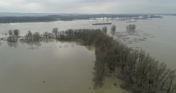 Aerial view of trees in high water in the river Waal, Gelderland, Netherlands.