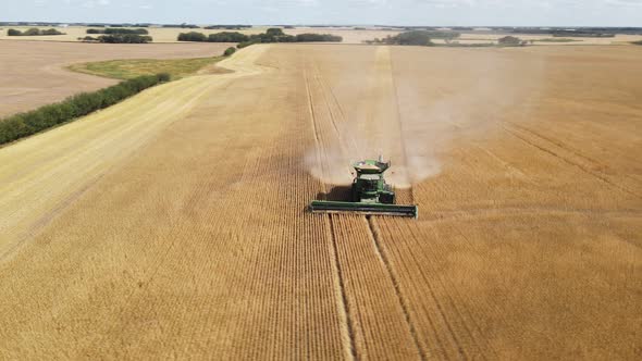 Large combine harvestering through a golden wheat field on a rural farm in the countryside. Aerial o