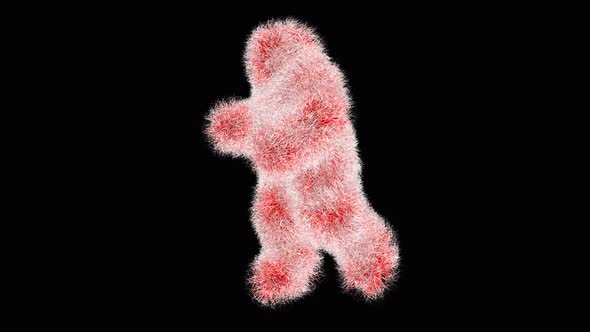 Red Shaggy Dancer 2