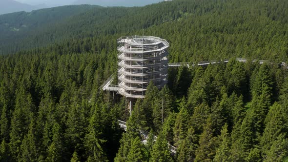 Pohorje Treetop Walk In Rogla, In The Midst Of Majestic Forest At The Top Of Mountain Rogla In Slove