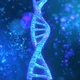 DNA in cell - VideoHive Item for Sale