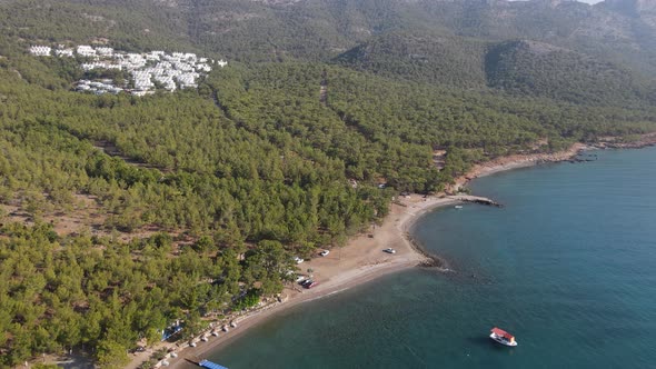 Forest Sea Resort Site White Shore