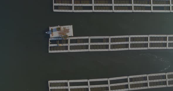 Top Down Zooming in Shot Lobster Farm Raising in Bay