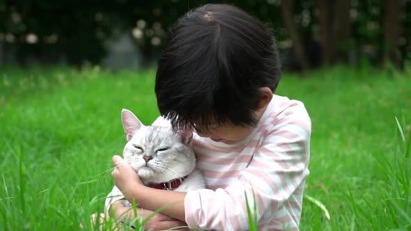 Cute Asian Child Playing With Scottish Cat In The Park