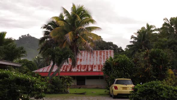 Yellow Car Parked Near Big Wide Palm Tree Near the Red House Cook Islands