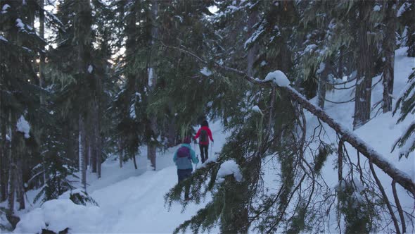 Adventure Girl Friends Hiking in Canadian Mountain Nature