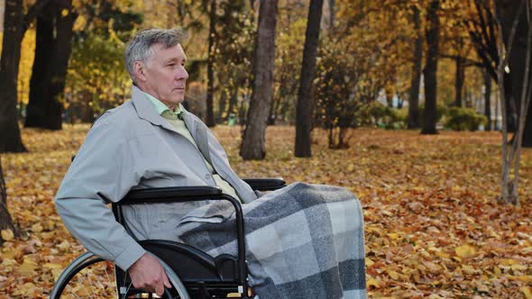 Mature Upset Pensive Caucasian Male Grandfather Man Sit at Wheelchair in Autumn Park Sad Serious