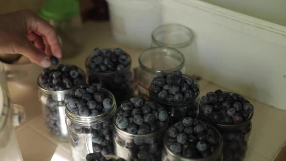 Fresh Blueberries