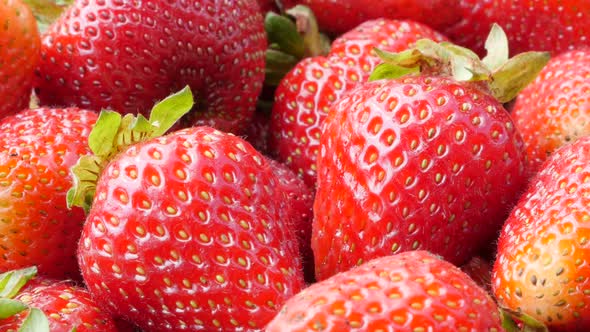 Strawberry fruit background slow tilt 4K 3840X2160 UltraHD footage - Slow tilting on Fragaria  anana
