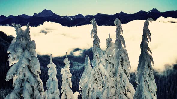 Snowing Snowflakes Glorious Mountain Forest Landscape Clouds Vintage Look