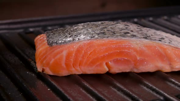 Panoramic Movement Along a Piece of Salmon