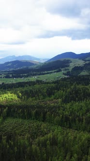 Carpathian Mountains