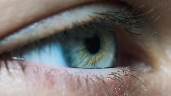 Beautiful Blue Woman Eye, Extreme Close-up. Sight. Detail View Young Girl's Eye