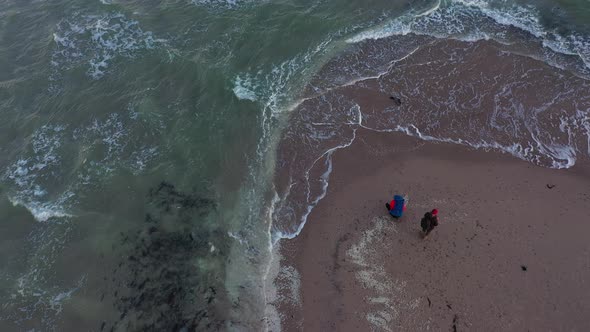 Drone Over People And Seal Along Grenen Sandbar