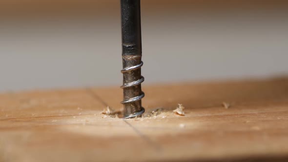 Slow motion cordless screwdriver screws in a bolt in wood, epic macro shot